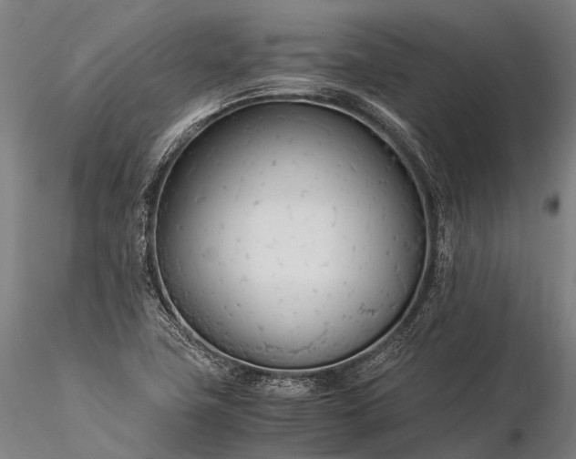 X0000116391411200912161514