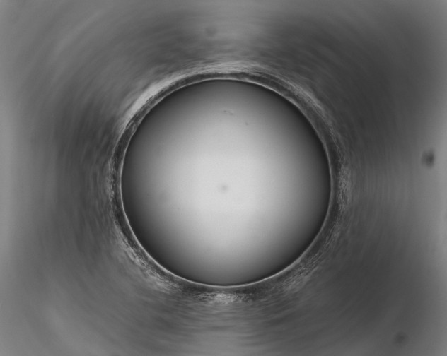 X0000116391412200912161514