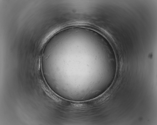 X0000116391413200912161514