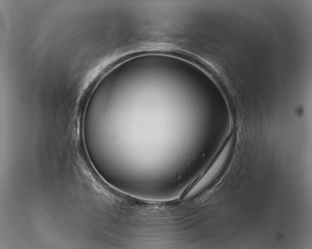 X0000116391414200912161514