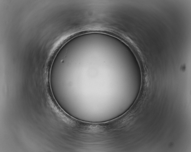 X0000116391416200912161514