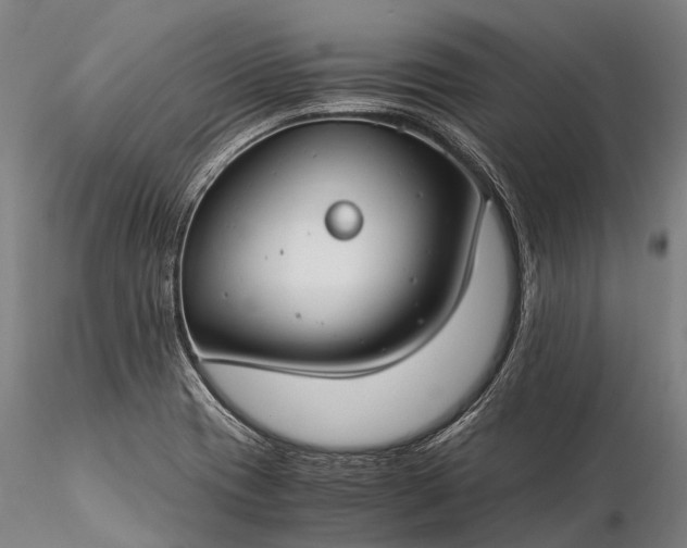 X0000116391417200912161514