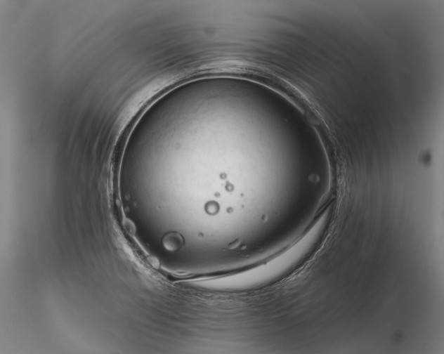X0000116391418200912161514