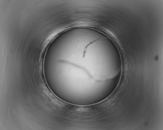 X0000116391419200912161514