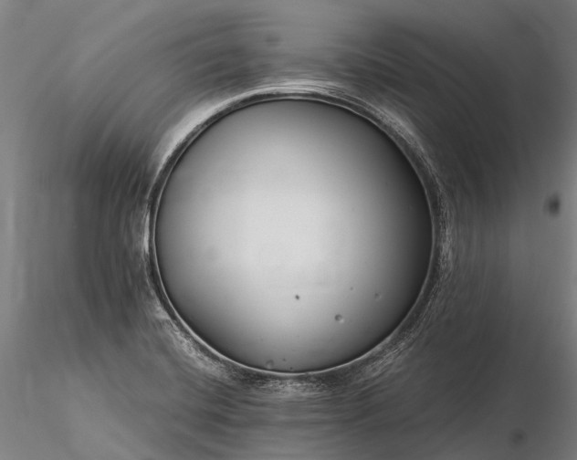 X0000116391420200912161514