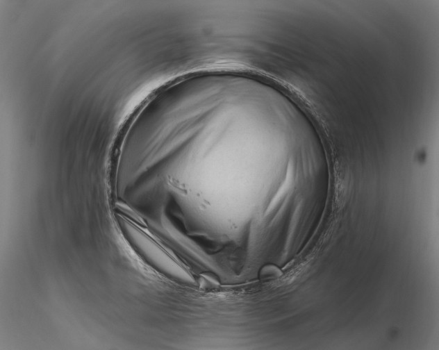 X0000116391422200912161514