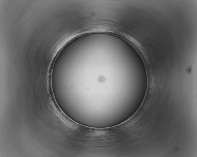 X0000116391423200912161514