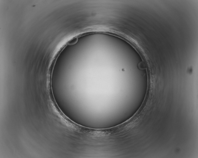 X0000116391424200912161514