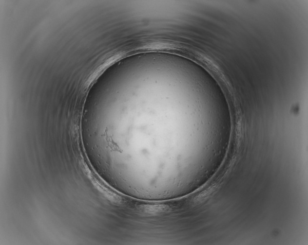 X0000116391425200912161514