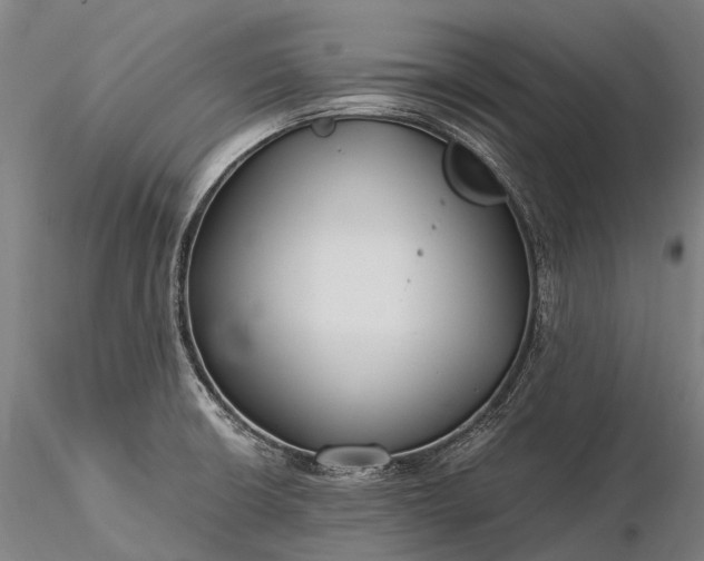 X0000116391426200912161514