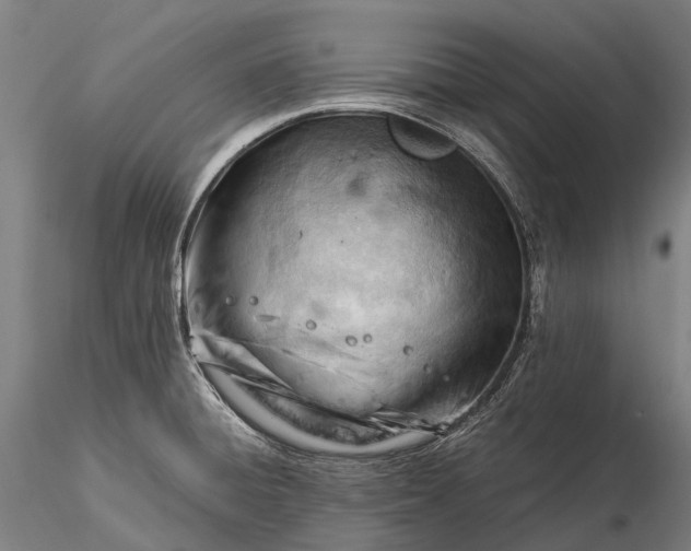 X0000116391428200912161514