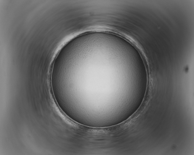 X0000116391429200912161514