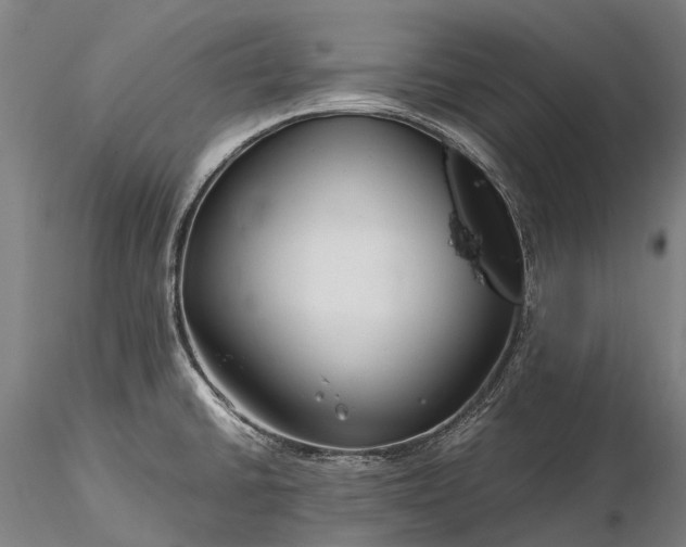 X0000116391430200912161514