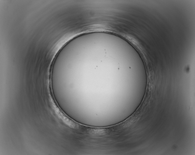 X0000116391431200912161514
