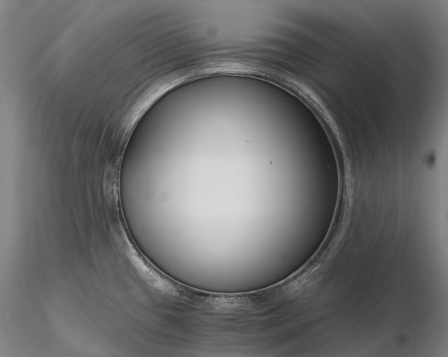 X0000116391433200912161514