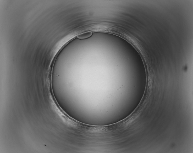 X0000116391434200912161514
