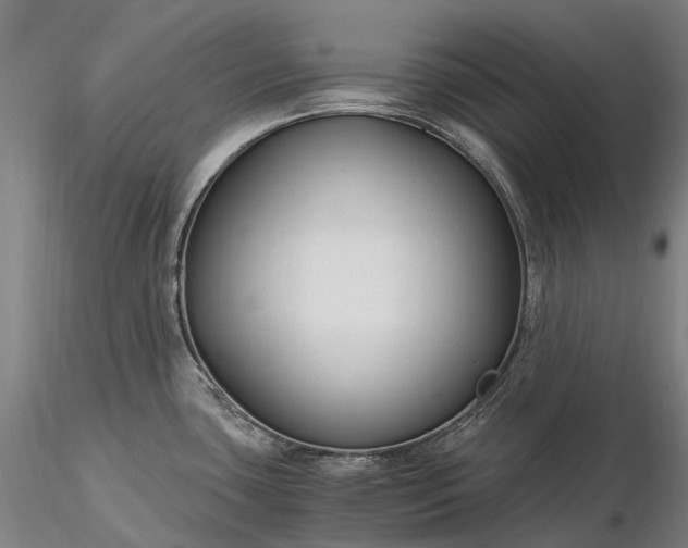 X0000116391435200912161514
