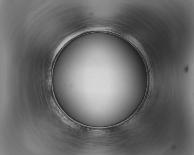 X0000116391436200912161514