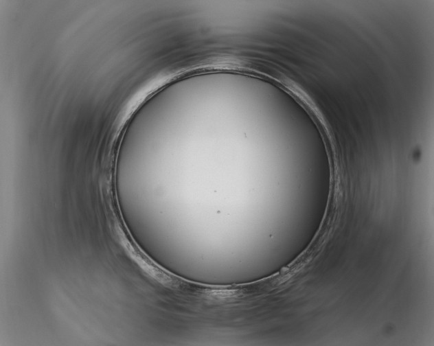 X0000116391437200912161514