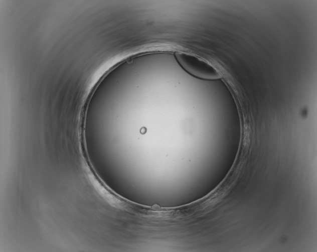 X0000116391438200912161514