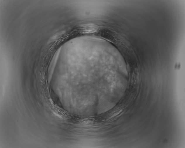 X0000116391441200912161513