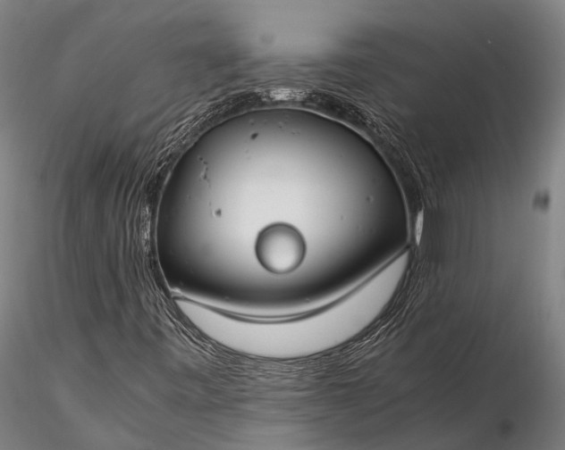 X0000116391443200912161513