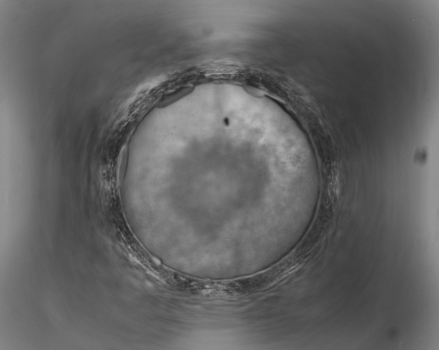 X0000116391445200912161513