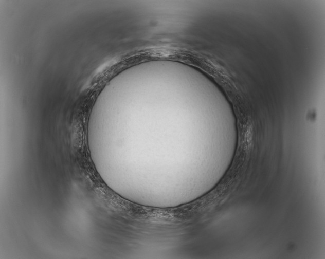 X0000116391446200912161513