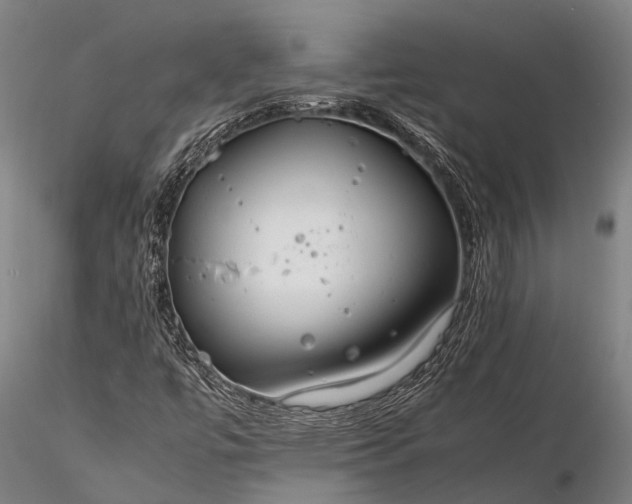 X0000116391447200912161513