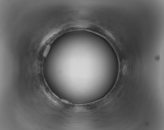 X0000116391448200912161513