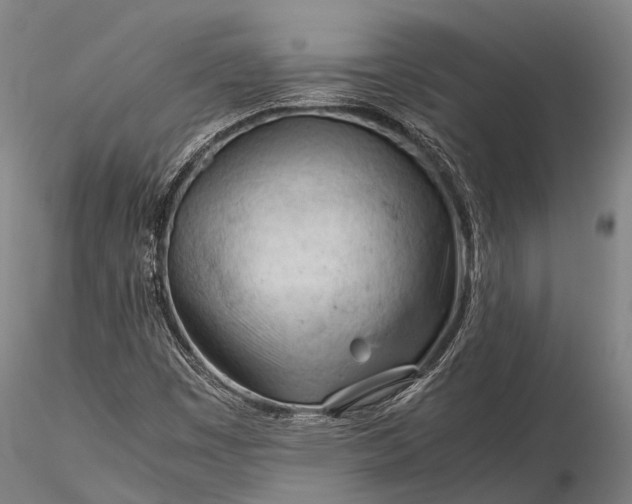 X0000116391449200912161513
