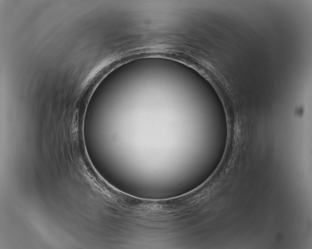 X0000116391450200912161513