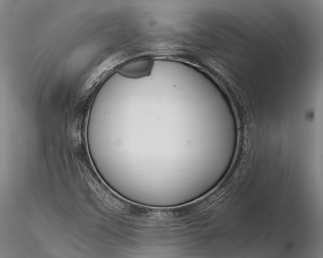 X0000116391451200912161513