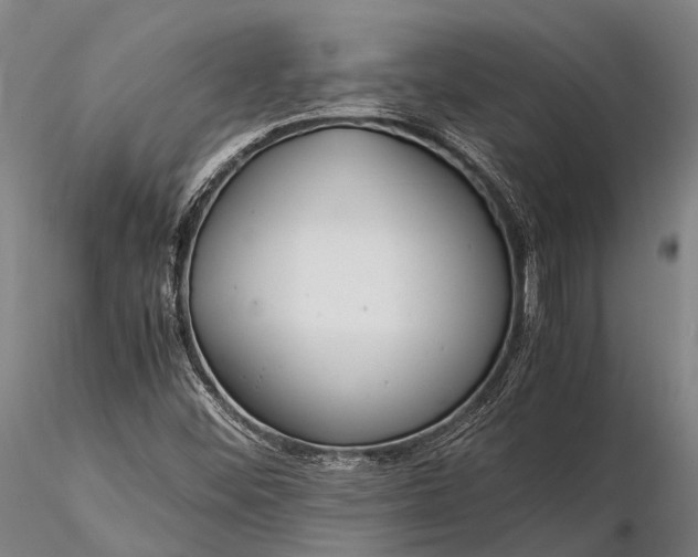 X0000116391452200912161513