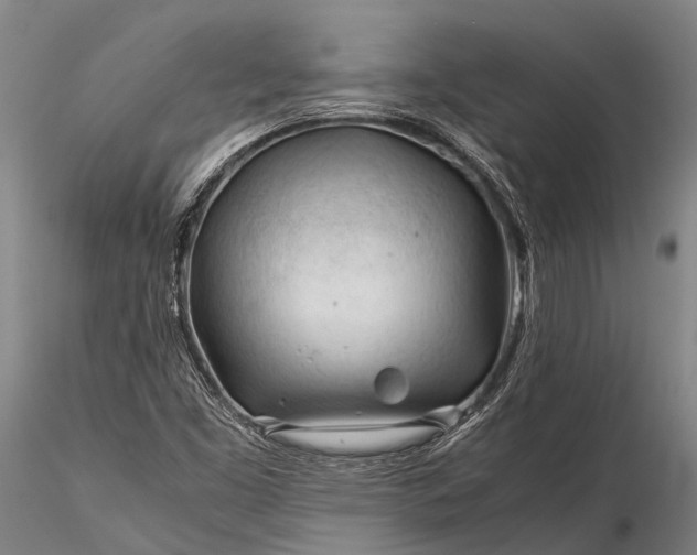 X0000116391453200912161513