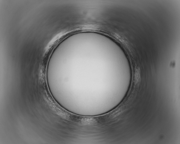X0000116391454200912161513