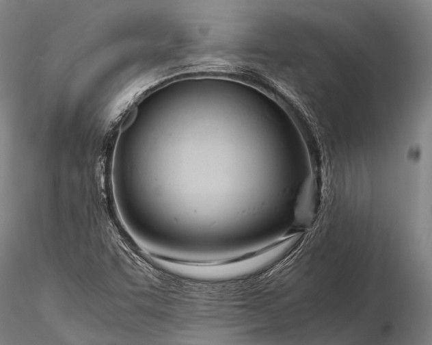 X0000116391455200912161513