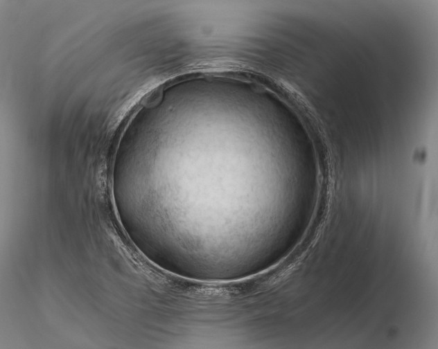 X0000116391457200912161513