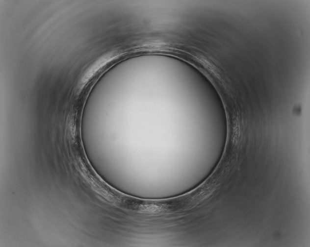 X0000116391458200912161513