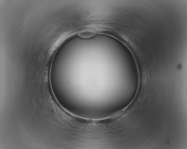 X0000116391459200912161513