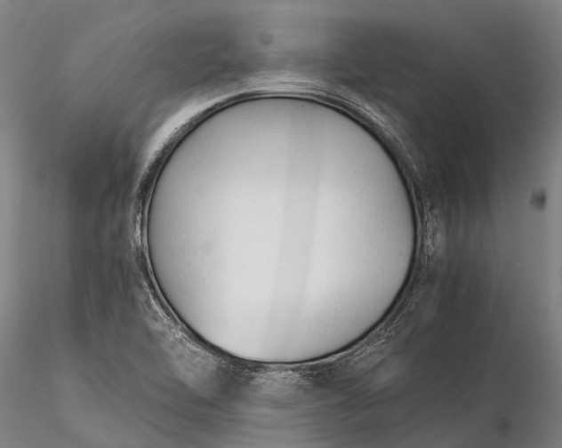 X0000116391462200912161513