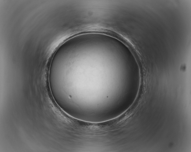 X0000116391463200912161513