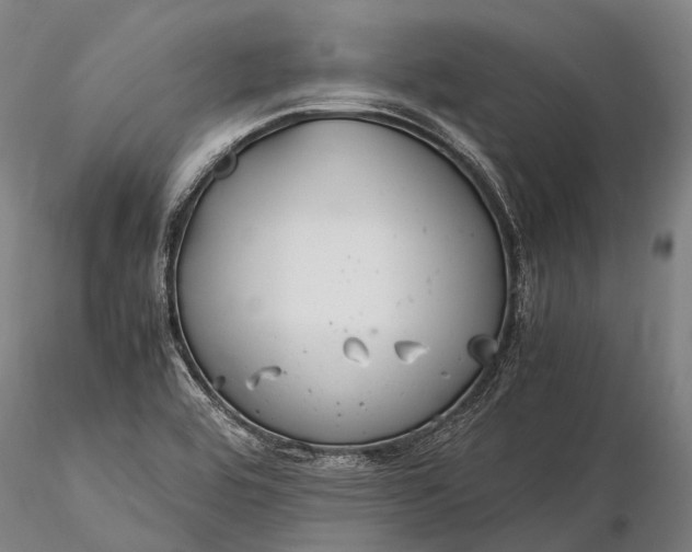 X0000116391464200912161513