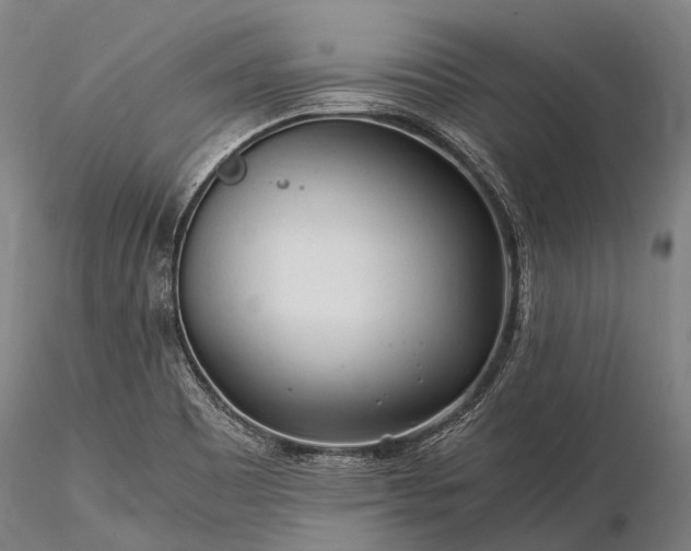 X0000116391465200912161513