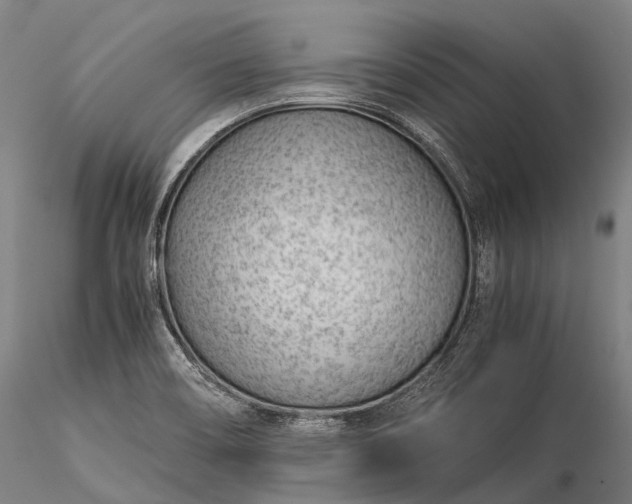 X0000116391466200912161513