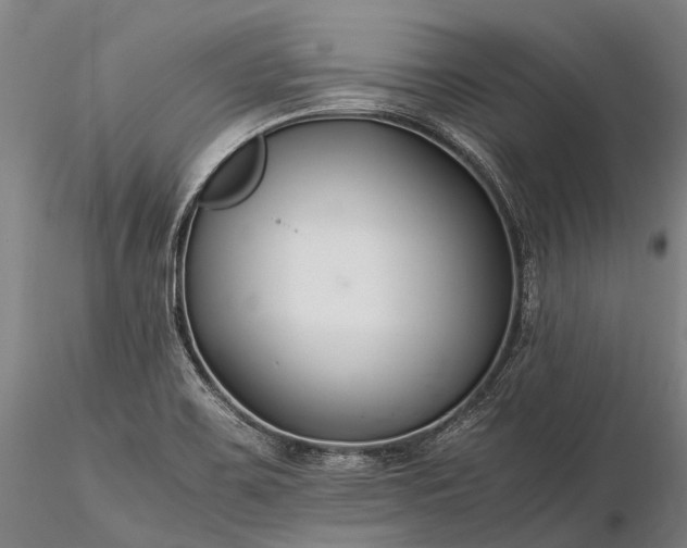 X0000116391467200912161513