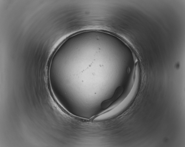 X0000116391468200912161513
