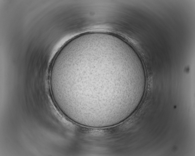 X0000116391470200912161513