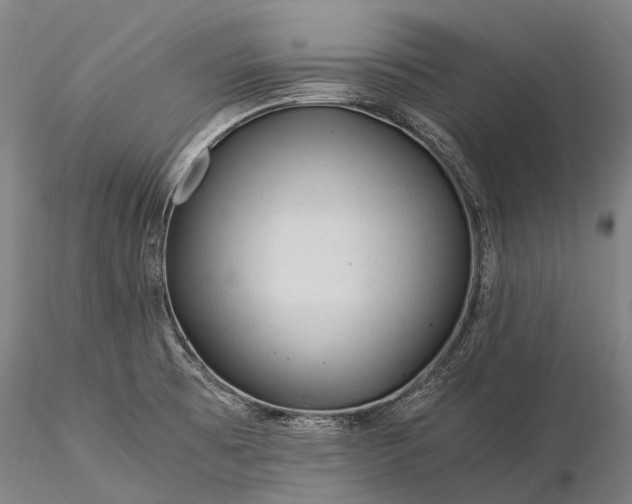 X0000116391473200912161513