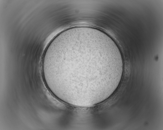 X0000116391474200912161513